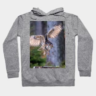 Eagle Owl Hoodie